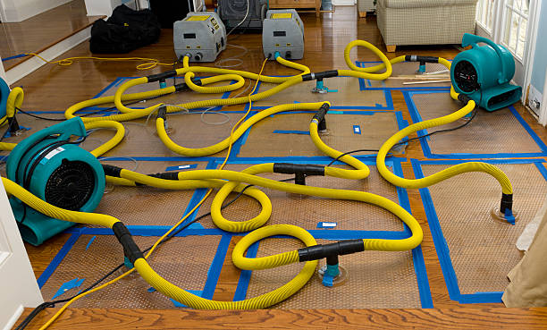 Professional Water Extraction technician working in Maribel, WI